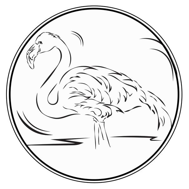 Graphismes * Camargue