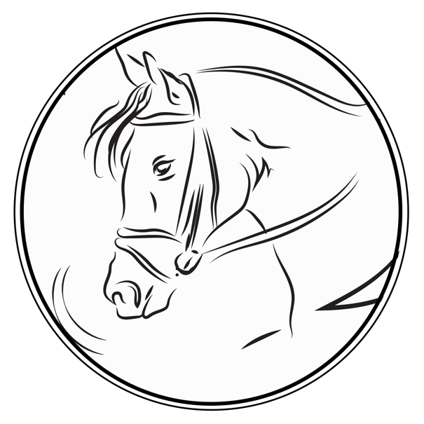 Graphismes • Chevaux/Equitation