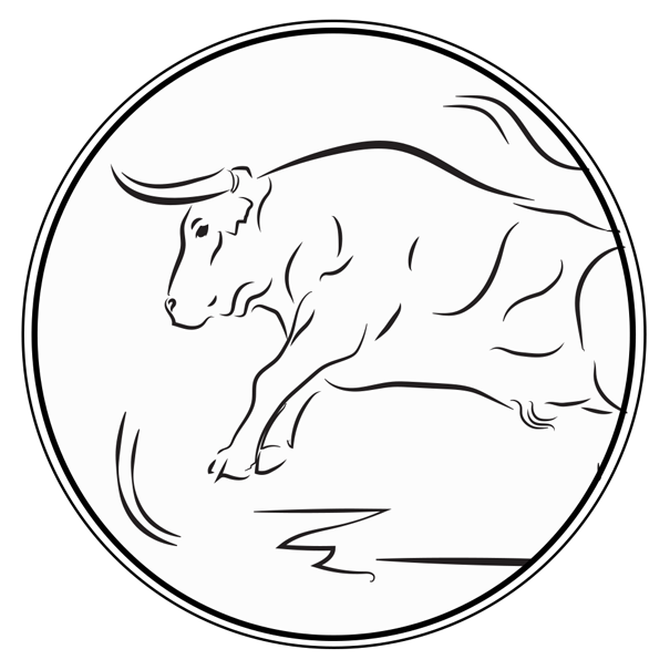 Graphismes * Taureaux